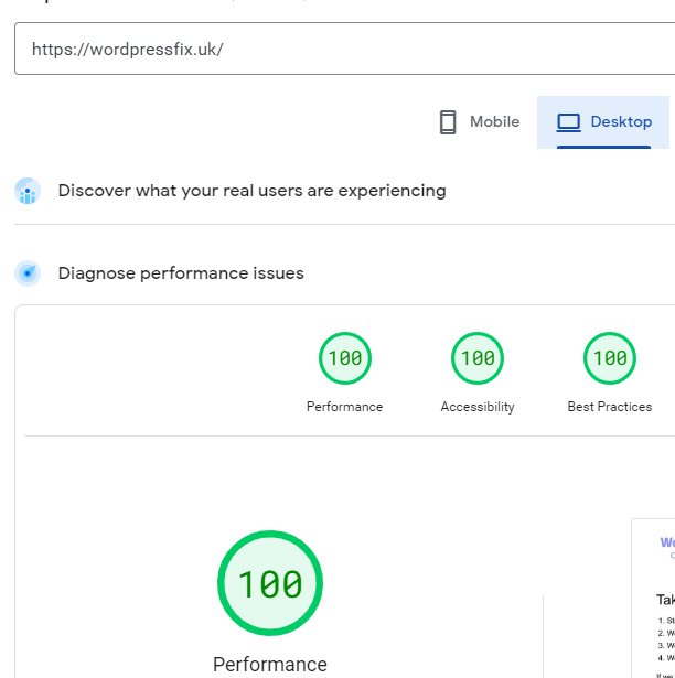 Wordpressfix Performance Screen Shot desk